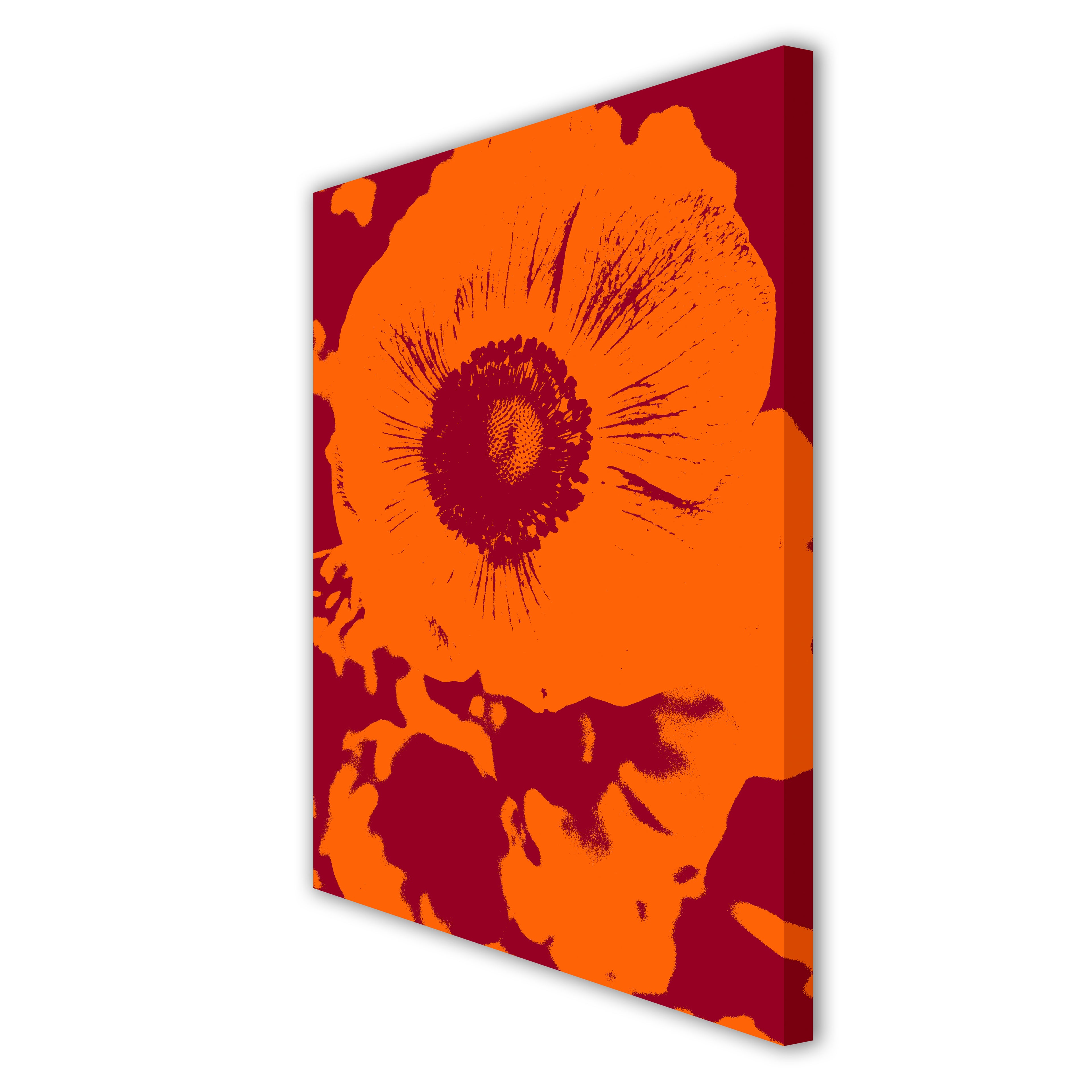 Euanemona canvas print on white background featuring a negative orange windflower with red shades, side view showing edges and depth.