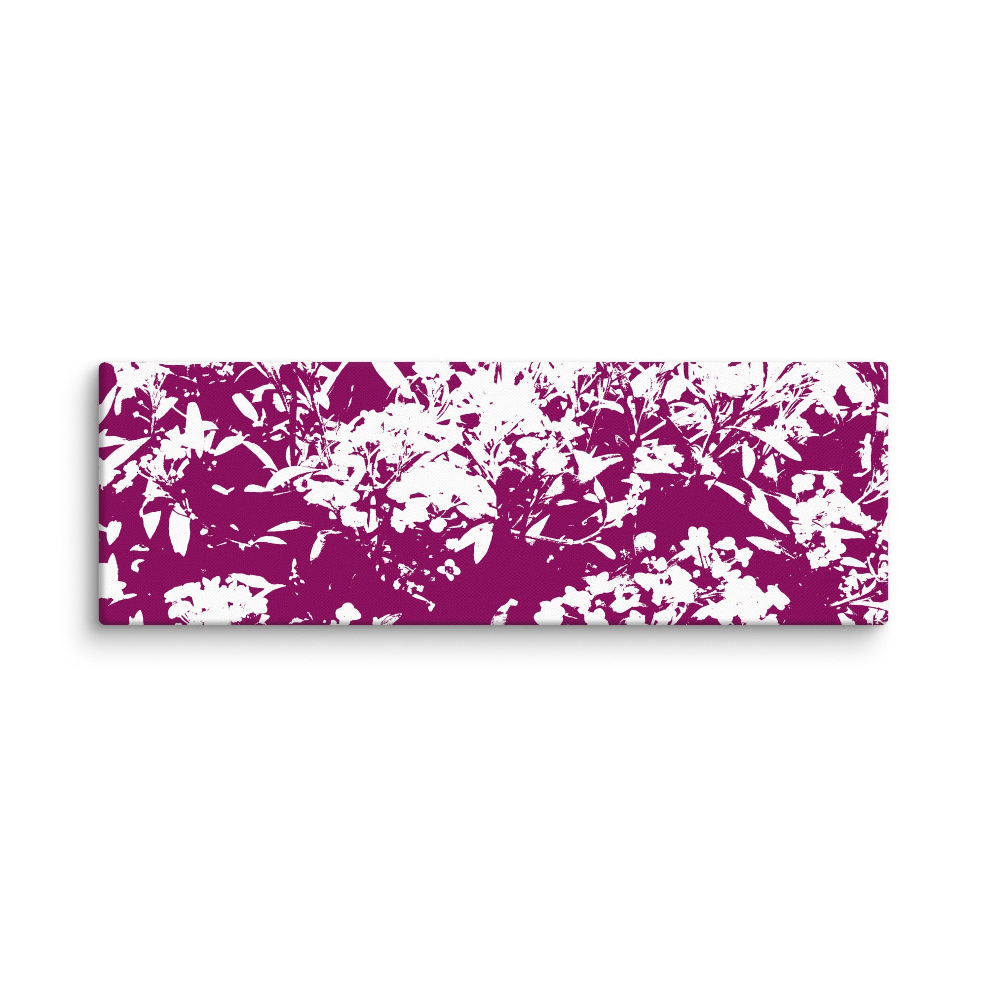 Lobularia Maritima canvas print on white background featuring a white sweet Alyssum with purple shades, front view.