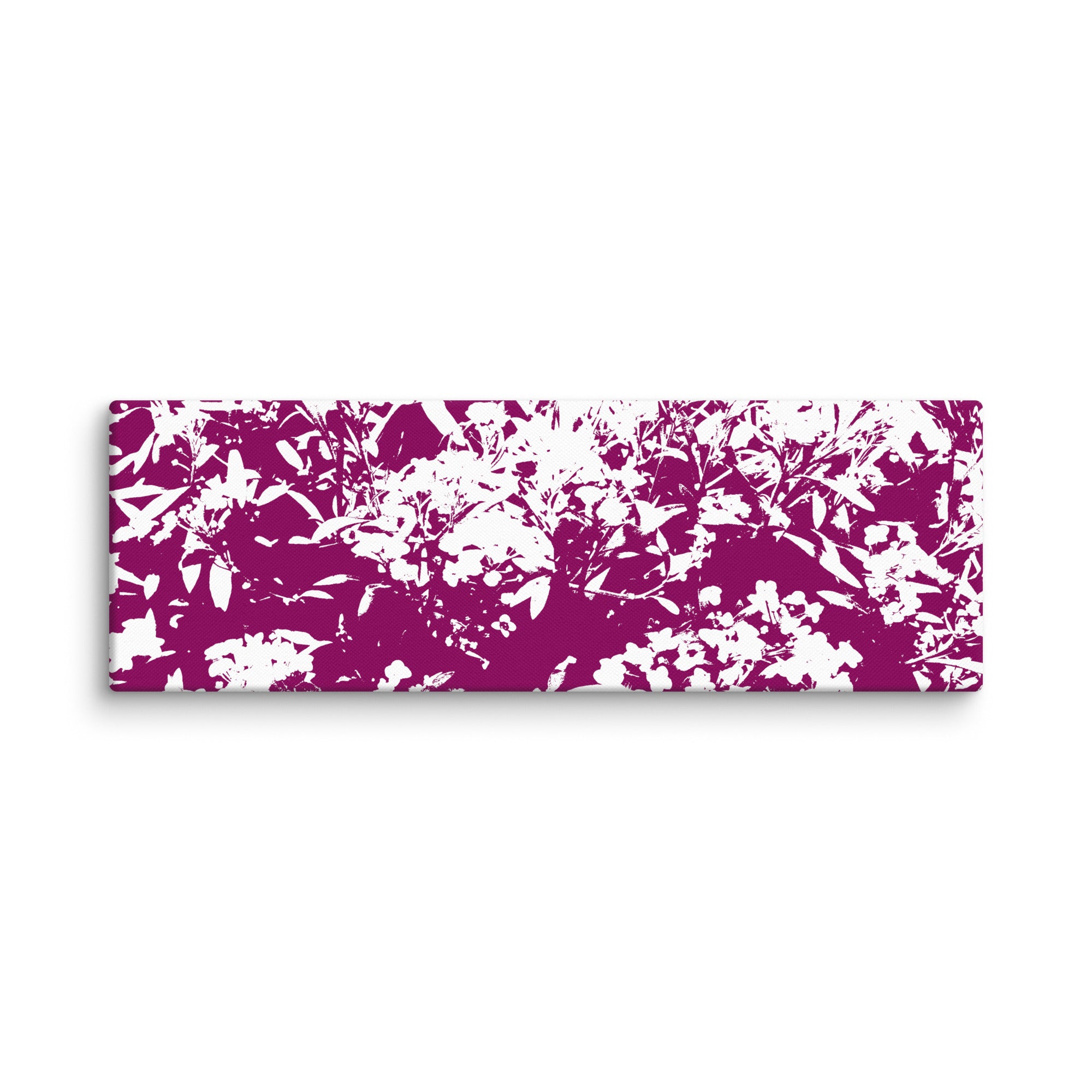 Lobularia Maritima canvas print on white background featuring a white sweet Alyssum with purple shades, front view.