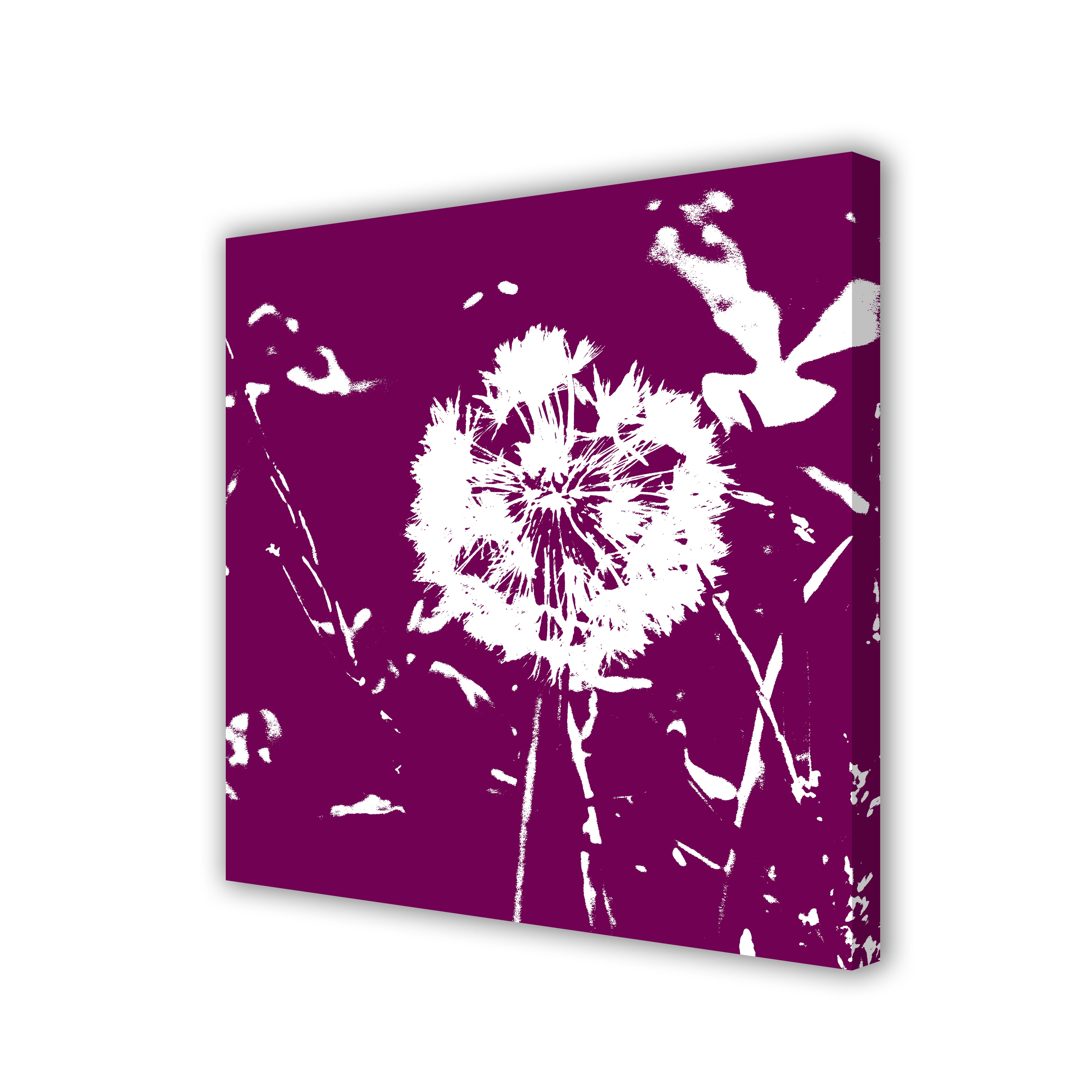 Taraxum canvas print on white background featuring a white dandelion on purple background, side view showing edges and depth.