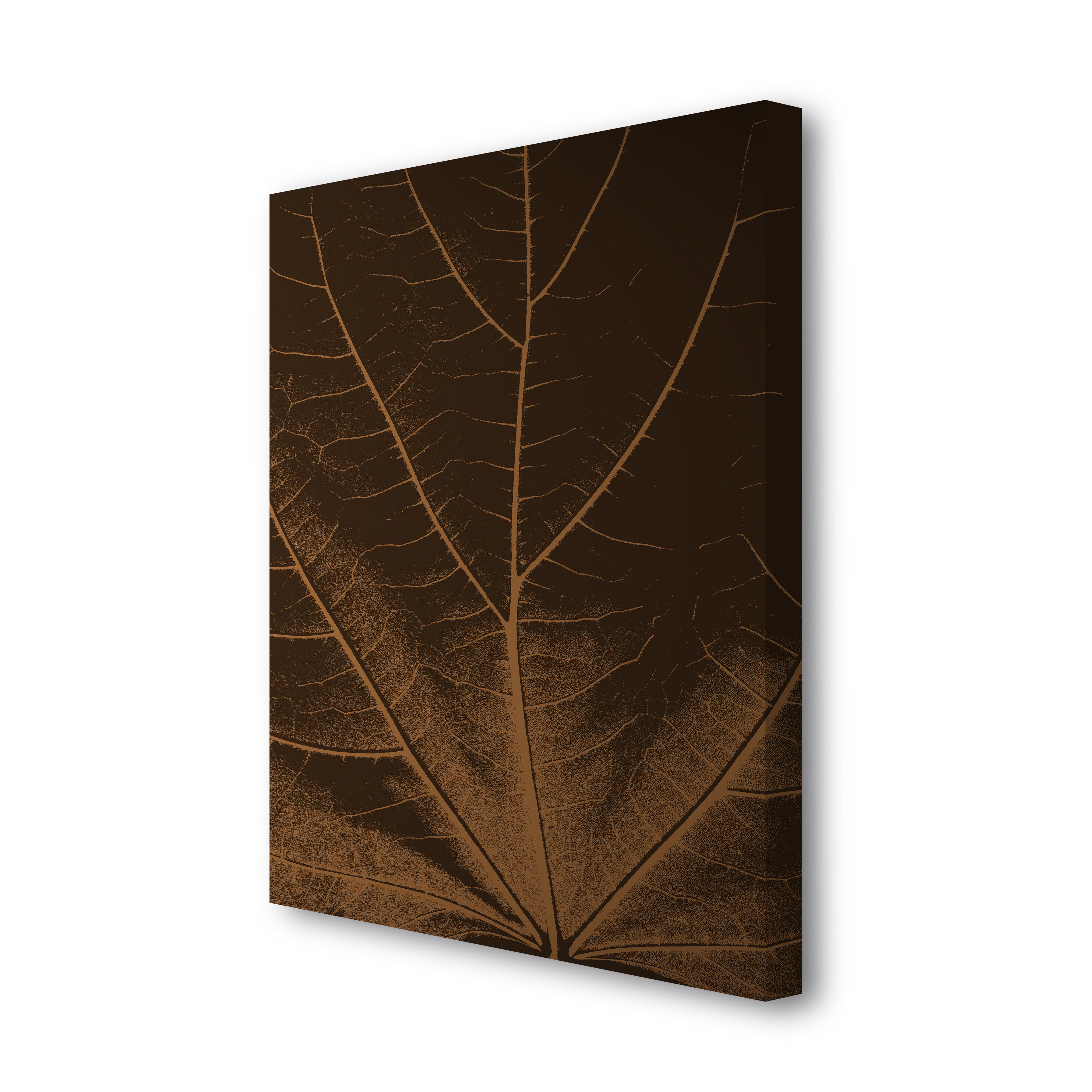 Tilia canvas print on white background featuring a brown leaf with detailed veins, side view showing edges and depth.
