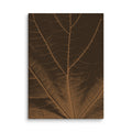 Tilia canvas print on white background featuring a brown leaf with detailed veins, front view.