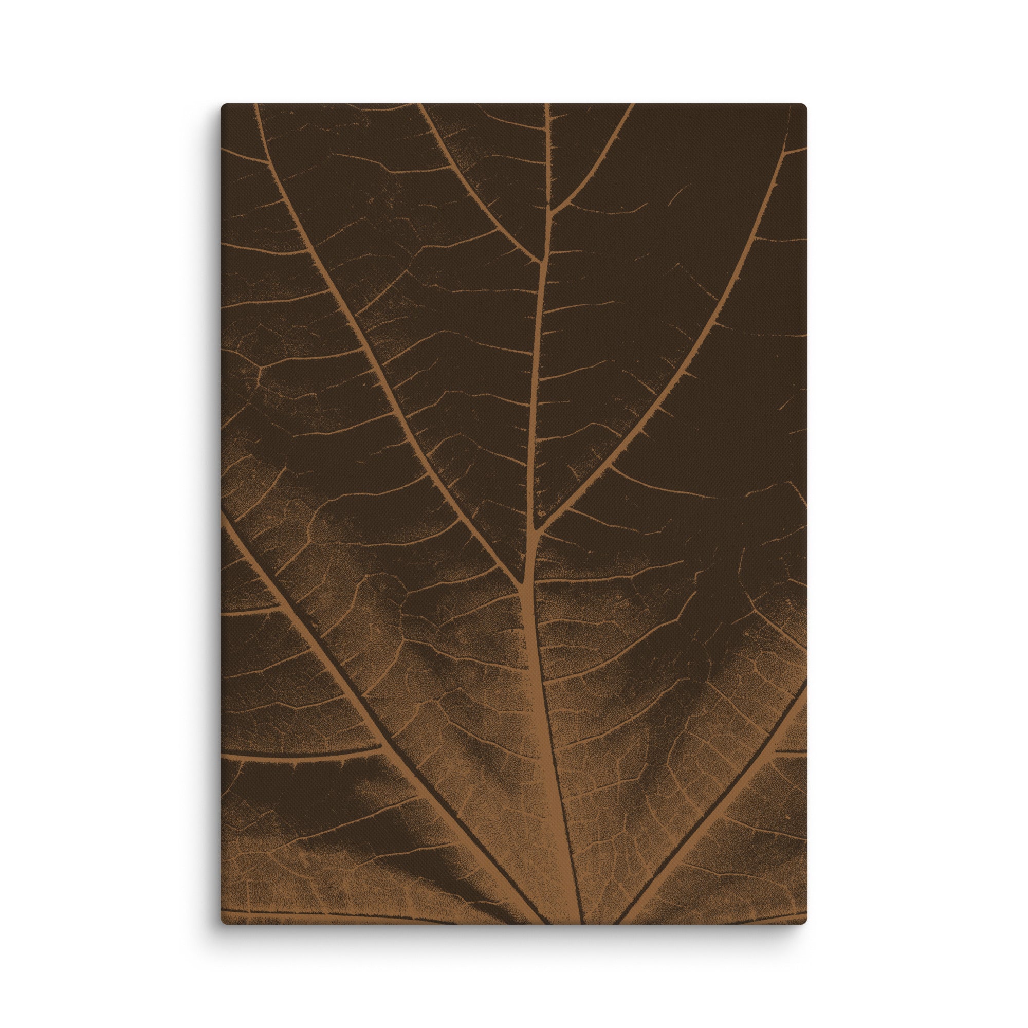Tilia canvas print on white background featuring a brown leaf with detailed veins, front view.